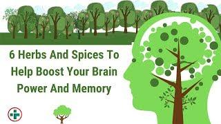 6 Herbs & Spices To Boost Brain Power and Memory - I Online Doctor