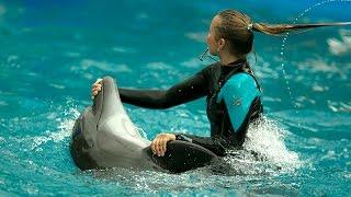 Дельфинарий НЕМО Одесса 18.08.2016 Dolphinarium NEMO Odessa