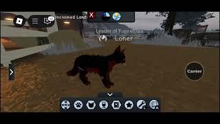 How to make your own clan in Warrior Cats