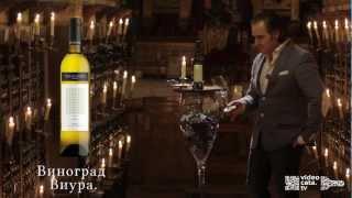 Дегустация Вина VALDELANA Seleccion Viura DOC Rioja