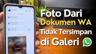 Cara Mengatasi Foto Dokumen WhatsApp Tidak Tersimpan di Galeri