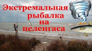 ЭКСТРЕМАЛЬНАЯ РЫБАЛКА на ПЕЛЕНГАСА в сентябре. Рыбная ловля в Азовском море. Морская рыбалка.