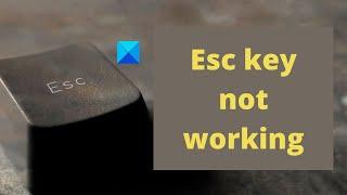 Esc key not working in Windows 11/10