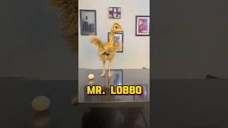 Mr. Lobbo P-1 #shorts #viral #shortvideo #ostrich #wildlife #ostrichegg