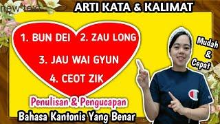 BELAJAR BAHASA KANTONIS // ARTI KATA (BUN DEI, ZAU LONG , JAU WAI GYUN, CEOT ZIK)// BAHASA KANTONIS