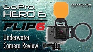 GoPro HERO 6 vs. HERO 5 Underwater Camera Test