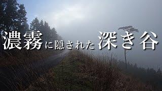 【大苦戦】濃霧に包まれた深い谷を流れる大渓流。その上流域に初めて足を踏み入れる【渓流釣り】