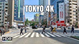 Akihabara, Tokyo, Japan 4K Drive