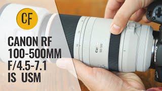 Canon RF 100-500mm f/4.5-7.1 'L' IS USM lens review with samples
