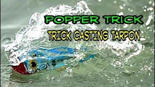 POPPER TRICK | Cara Retrive Popper Target Ikan Tarpon | Serambi Angler Eps. 007