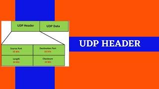 The UDP header structure