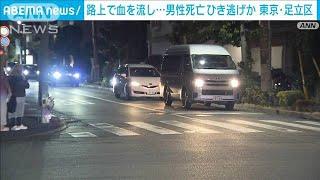 路上で血を流し…男性死亡　ひき逃げか　東京・足立区(2024年12月20日)