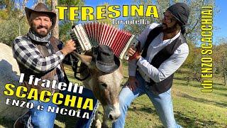 TERESINA (tarantella) I FRATELLI SCACCHIA ENZO e NICOLA (musica di ENZO SCACCHIA) organetto