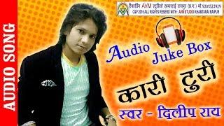 NEW CG SONG KARI TURI DILIP RAY HIT CHHATTISGARHI GEET HD VIDEO 2016 AVM STUDIO RAIPUR