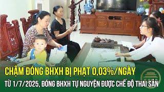 Từ 1/7/2025, đóng BHXH tự nguyện được chế độ thai sản - Chậm đóng BHXH bị phạt 0,03%/ngày