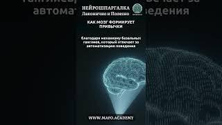 Нейрошпаргалка от Кафедры Нейропсихологии и Нейрокоучинга #нейрокоучинг #нейропсихология #МАФО