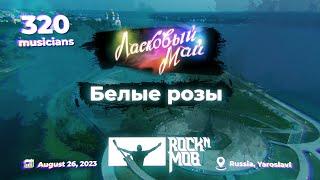 Laskovyi Mai – White Roses. 320 musicians #Rocknmob #Yaroslavl 26.08.2023