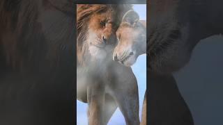 The Jungle King | Lion Love #lion #short#trending#jungle #ytshort#pramod VFX CUT