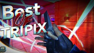 BEST OF TRIPIX !!!