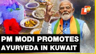 PM Modi In Kuwait: Highlights Ayurveda, India's Knowledge System, And Economic Corridor