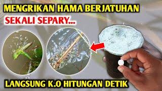 Mengerikan Saya terkejut dengan hasilnya Pembasmi hama paling ampuh Obat wereng Padi paling ampuh