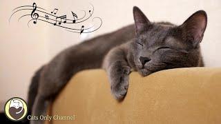 Music for Cats - Relaxing Harp Music with Cat Purring Sounds, Relief of Stress and Anxiety