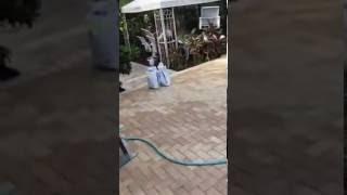 Removing Sand from Brick Paver Joints  -- Bay Paver Sealing