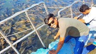 Millions of Fish  in Mansar lake jammu / Apna Vijju Vlogs #apnavijjuvlogs #trending #jammukashmir