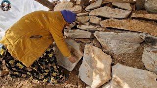 "Building a Cozy Nest: A Mother’s Battle to Shelter Her Chickens in the Wild!"