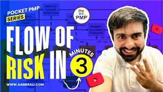 Flow of risk in pmp in 3 minutes