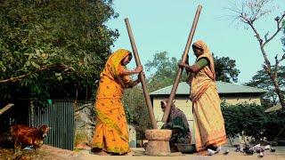 নরসিংদীর হাড়িসাংগান গ্রামের গাইলপাড়া [2022] || Panorama Documentary