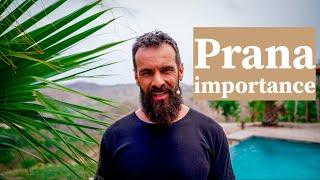 PRANA IMPORTANCE