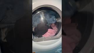 Hotpoint Ultima S Line | Less fluff option in action! Spin dry