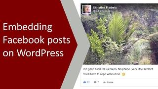 Embedding Facebook posts on Wordpress