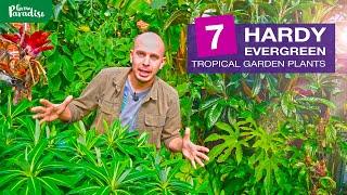 7 EVERGREEN + HARDY TROPICAL garden plants