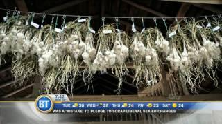 Frankie Flowers: How to plant, grow, and harvest garlic