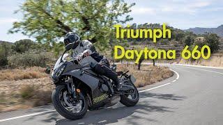 Preistipp mit Löwenherz – Triumph Daytona 660