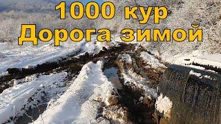 1000 кур зимой, наши дороги, развитие и инвестиции в РАЙАР