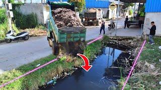 Wonderful New Project! Burying Thick Transporting soil, Delete pond By Small Bulldozer Pushing