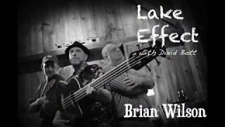 Brian Wilson - Lake Effect with David Bott