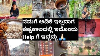 ನಮಗೆ ಅಡಿಕೆ ಇಲ್ಲದಾಗ ಕಷ್ಟಕಾಲದಲ್ಲಿ ಇದೊಂದು  Help ಗೆ ಇದ್ದದ್ದು |ಶೆಕೆಗೆ ಎಂತ ತಂದಿದ್ದೇವೆ ನೋಡಿ|Kannada vlogs