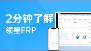 What is LINGXINGERP?