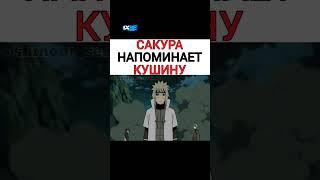 Сакура Напоминает Кушину!