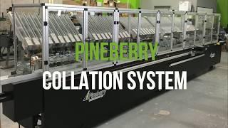 Pineberry Manufacturing Inc. - Pick & Place Collation System for Trading Cards