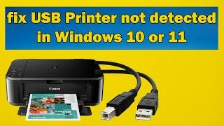 How to fix USB Printer not detected in Windows 10 or 11
