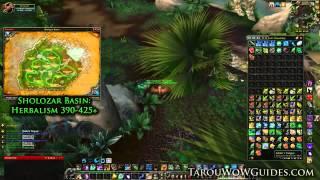 How to Level Herbalism MoP Herbalism Guide Fast and Easy