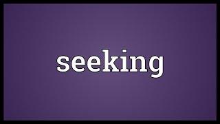 Seeking Meaning