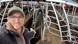 New Job Revealed! Dairy Farming!