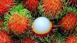 The Super Fruit: Rambutan