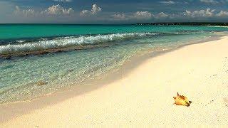 Relaxing Music with Gentle Ocean Sounds, Soothing Waves and Peaceful Music